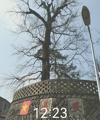 [����]̽����Ϫ��̽��ͩ�����ڽ�·���߽�����ɽ����