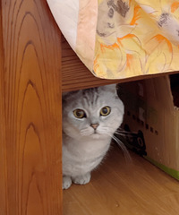 һֱ���Ҷ����·�ϣ�94���ٺ�GG���ж����鷿������180