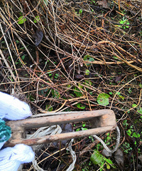 һ��Сľͷ�м��οգ��������Ӿͳ���һ��ʵ��С����