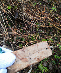 һ��Сľͷ�м��οգ��������Ӿͳ���һ��ʵ��С����