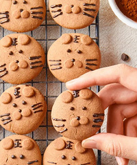 ̫�ɰ��˰ɣ������������������