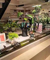 [����]̨�����������Ƽ�������ֵ����������Ƽ�