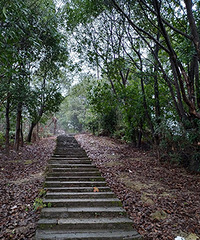 �ŷ�ɽ����