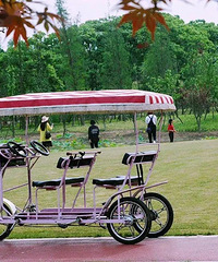 �������Щ̨�ݵ��̵���ֵ��ȥ��~��������