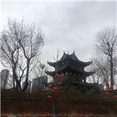 ��b�Ͻ����ڿ�����