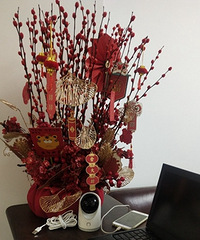 ɹ����װ��