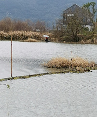 �������ж��񣬺ܶ��������ٹ���ȥ����