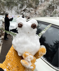 2022����ϲ��