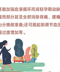 �ʺ����ڵ����ֻ�������Ǹ�������