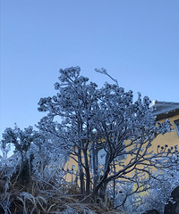 �λ�����������������ͯ�����磬���������ɾ�!