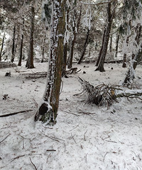 ��ʯ̹ͽ��������̨����������ɽ����ƺ��ѩ��