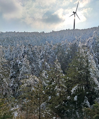 ��ʯ̹ͽ��������̨����������ɽ����ƺ��ѩ��