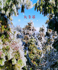 ���»�֮�У�Ⱥɽ��������������