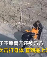 �ò���50�����Ů�ѱ���ĸǿ������