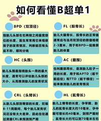 ��ο���B���������챨������Щ��ĸ����������Щ����