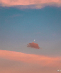 �µ�һ�꣬���ѵ��뷨��С���������װ�