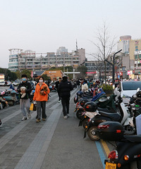 ���˽ڹ�ȥ�ˣ������ż��Ҷ������