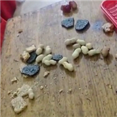 �⹫����