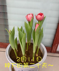 ��ʽ��ʮ�㣡���Լ�����֤����