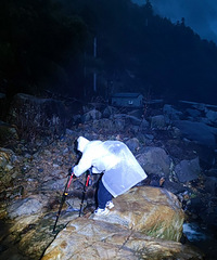 [����]����ɽ����ͽ������ֲ��ľ��������ӣ�̫Ű��