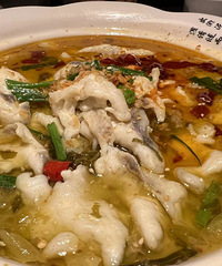 ��������ʳ�ֲݡ���ĬĬ�����˺ܶ�������Ų���