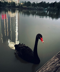 90���ٺ����ڽ���������2022��ϣ����������