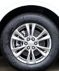 ���Դ���̥����˿�����Ķ��٣��������������θߵͣ�