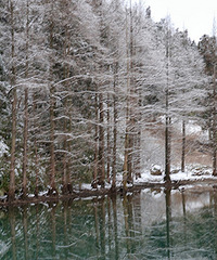 ��̨��������ڡ