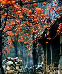 [����]��ҵ2�꣬ʧ���ˣ������ܰ�οһ������