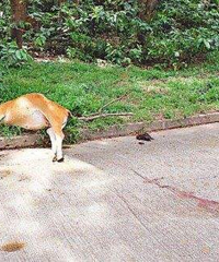 Сţ��ײ����˾��һ����֮���ѵ��Ǳ��ղ����㣬��������ԭ��