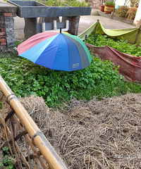 �������۲�Ҳ��ô������