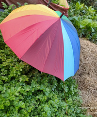 �������۲�Ҳ��ô������