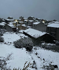 ���ٺ������ѩ