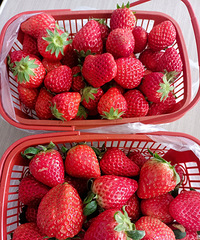 ������������ʱ��������ʳ����ʵ��