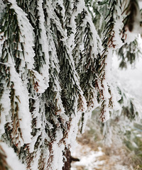 �����⿴ѩ��̨���϶�������ܻ�