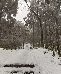 19�Ż�����ѩ����ԶԶû����������ô��