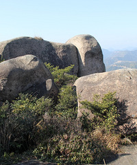 ���ΰ���ɽ��һ���ĸ���һһһ������