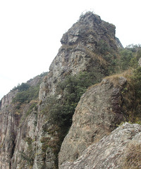 ���γ���������β�ټ�һһһ������