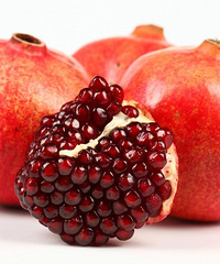 �������ʲô�������̲����֣�������Щ���ܳԣ�