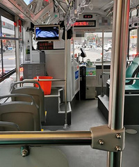 Ϊʲô����û����