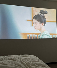 ͶӰ������