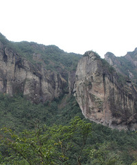 �㵴ɽ�ٲ�ǧ���������������������Ӧ�ŵ�һ