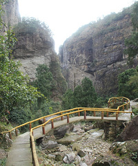 �㵴ɽ�ٲ�ǧ���������������������Ӧ�ŵ�һ