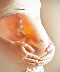 ̥����ͷ���������Ȼ�������ַ�Ӧ��