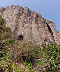 ������ӷ���ͽ��