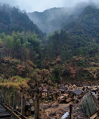 ͽ������ɽ����