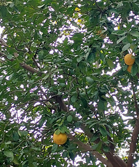 ���ӻ����ĵ�