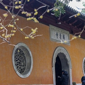 һ��һľ�Ծ߷���