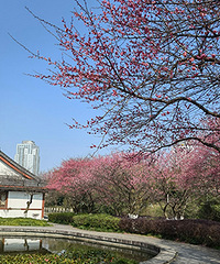 �����ϵ�÷��