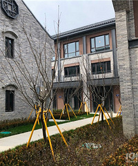 ��ɫ����α����ٺ��ϳ�